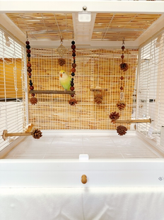 【我的可爱鹦鹉】鹦鹉玩具鸟笼装饰挂件新中式美学风6件套