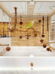 【我的可爱鹦鹉】鹦鹉玩具鸟笼装饰挂件新中式美学风10件套