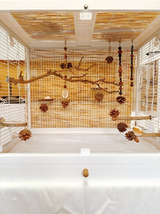 我的可爱鹦鹉鹦鹉玩具鸟笼装饰挂件新中式美学风根系10件套