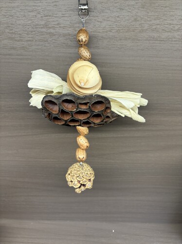 【我的可爱鹦鹉】鹦鹉啃咬玩具咬串磨牙解闷松果坚鸟笼装饰挂件