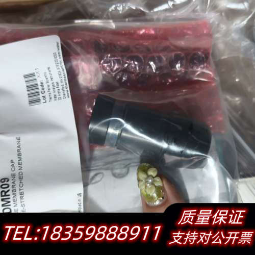 CL31B1，赛默飞DMR09氯离子膜头，，未拆询价