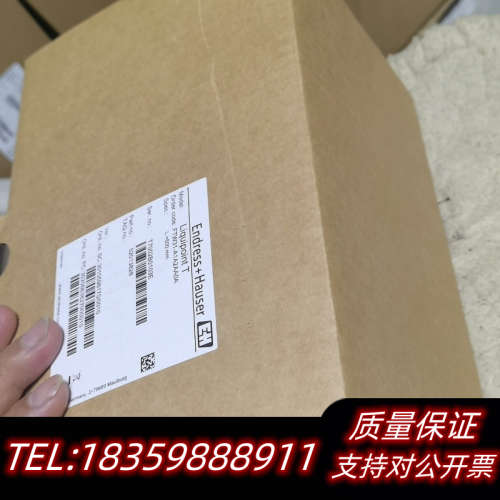 FTW31-A1A2AA0A液体电导限位开关询价