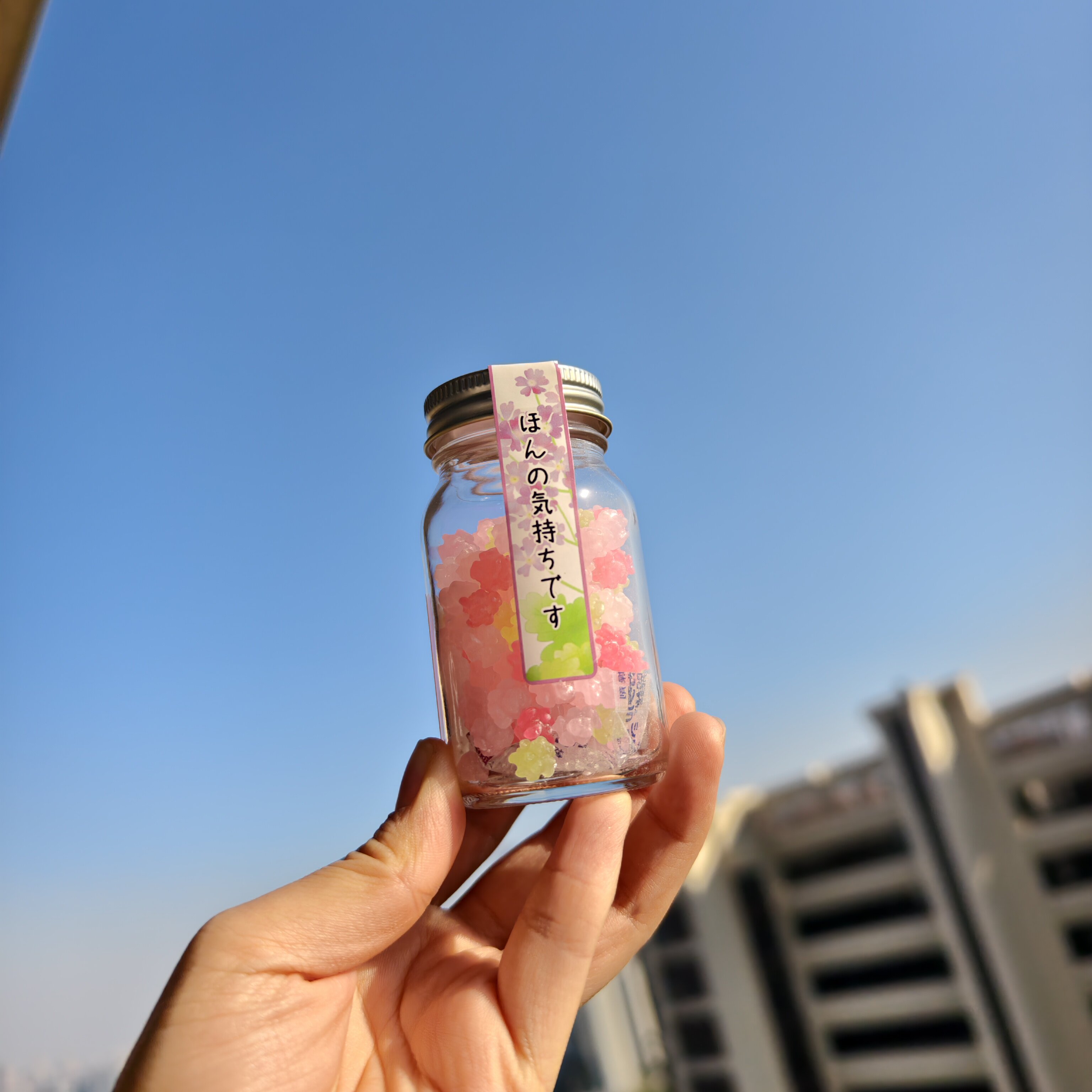 【现货】日本进口金平糖樱花草花菖蒲糖果硬糖50g玻璃瓶伴手礼