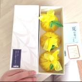 现货推荐 日本进口 银座 柚子 果冻布丁果味健康低卡送礼盒装