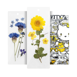 干花植物标本学生幼儿园diy手工材料贴画真树叶滴胶杯垫相框压花21片儿童用学校手工课创意书签安静书制作