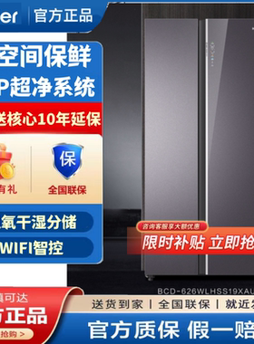 Haier/海尔BCD-626WLHSS19XAU1巨能冻全域杀菌全空间保鲜对开冰箱