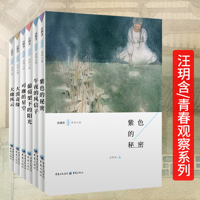汪玥含套装6册 紫色的秘密+午夜的风信子+葡萄架下的阳光+可珈的星空+大漠奇缘+大地风云