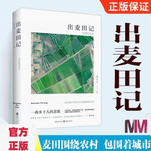 长篇小说 潘沈斌 乡村 旧书 情感 文学 乡土 纯净 出麦田记