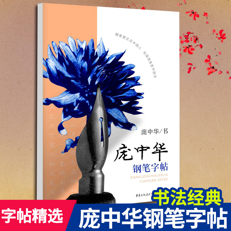 方 庞中华钢笔字帖 书法篆刻硬笔书法庞中华行楷书字帖小学生楷体成人