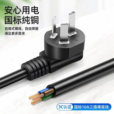 电源线三插头两心三心带插头加粗电线延长线纯铜护套线插头线裸尾