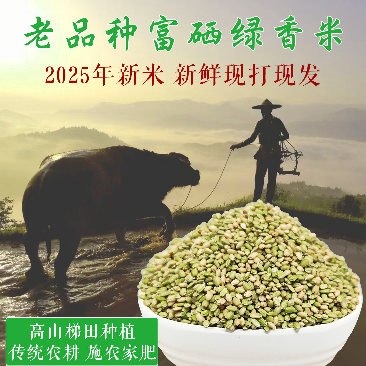 富硒老品种，2025年梯田绿香米