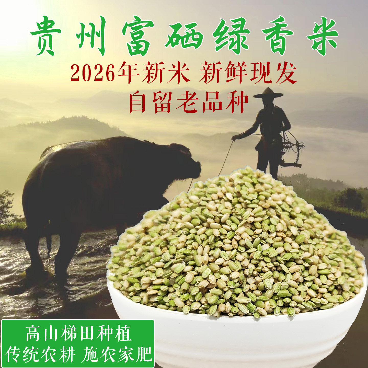 贵州绿香米2026年新米老品种富硒肝米糙米高山梯田粗粮米绿米大米
