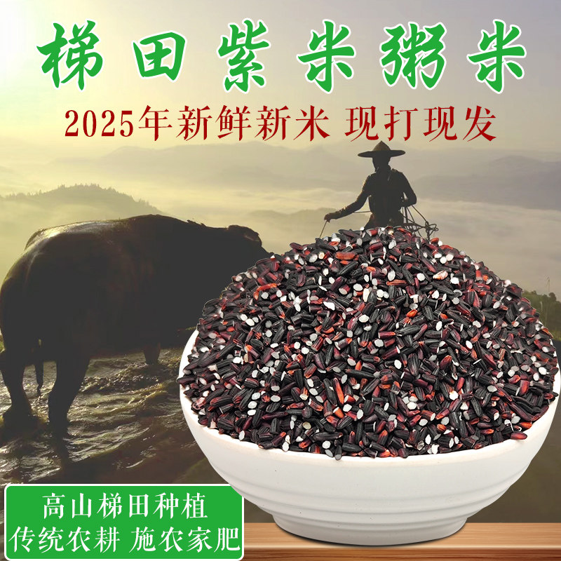 2025年新米 紫米碎米粥米贵州高山梯田农家老品种宝宝煮营养粥5斤