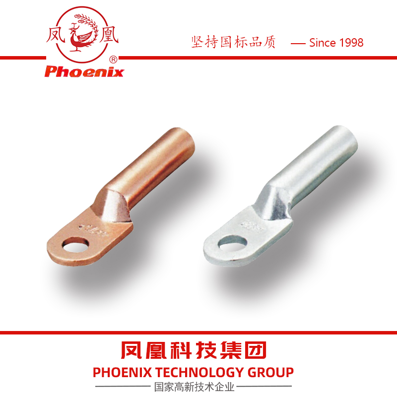 DT-70平方M12凤凰国标A级铜鼻子