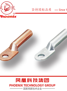凤凰金具DT-630国标A级紫铜平方mm2 单孔堵油铜鼻子镀锡白色本色