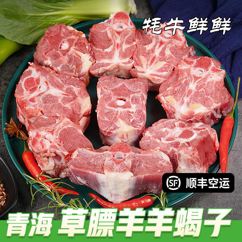 羊蝎子青海正宗草膘羊