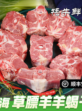 羊蝎子青海正宗草膘羊