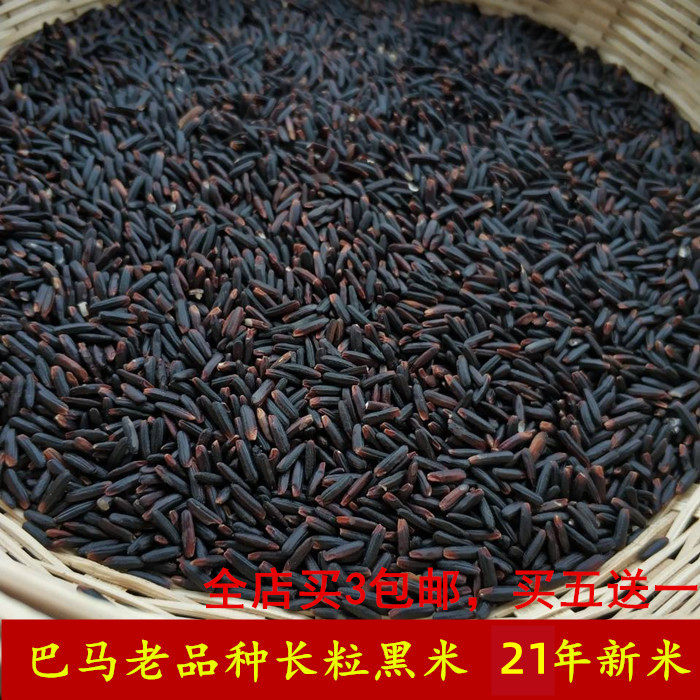 广西巴马长粒黑米杂粮500g2025年农家自种特级新米香米天然黑籼米