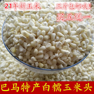 巴马特产2025年新糯玉米头煮粥大渣子农家白糯玉米渣五谷杂粮500g