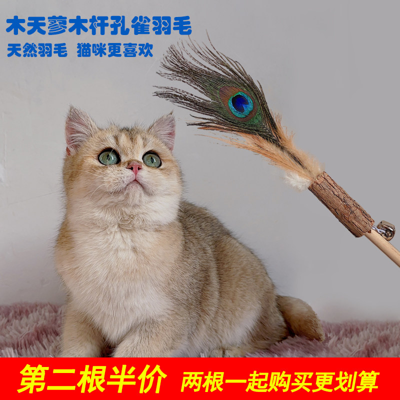 羽毛逗猫棒孔雀羽毛逗猫棒原木耐咬环保材质木天蓼逗猫棒图片