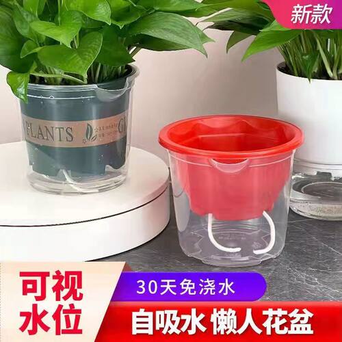 绿萝花盆专用储水塑料加厚懒人盆