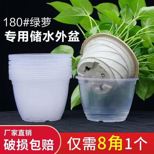 绿萝专用外套简约实用水培免浇水