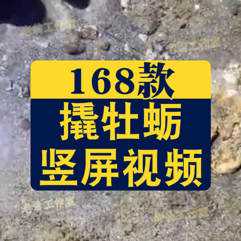 竖屏海边撬开牡蛎挖生蚝取肉赶海国外高清解压短视频小说推文素材