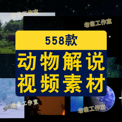 宠物短视频素材国外萌宠动物猫咪二哈搞笑抖音高清无水印剪辑起号