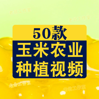 农业发展水稻水果种植大棚有机素材小麦玉米视频高清实拍素材剪辑