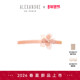 2026新品 ALEXANDRE PARIS巴黎亚历山大美之然10cm发夹发饰头饰