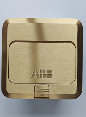 ABB开关插座二位多功能地插六孔地插铜地插AS529