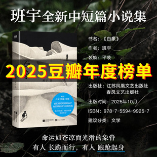 白象 继《冬泳》《逍遥游》《缓步》之后班宇的第四部中短篇小说集 中国作家网“优选中短篇”榜单推荐 当代文学小说