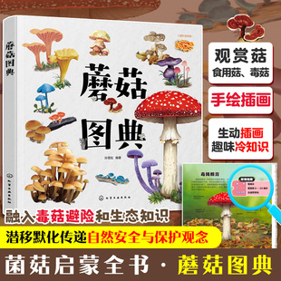 蘑菇图典 孙雪松 3-8岁儿童孩子幼儿园低年级一二三年级宝典科普读物图书籍 真实手绘图片 形态各异的蘑菇