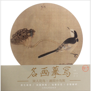 宋人花鸟(疏荷沙鸟图)/名画摹写 博库网