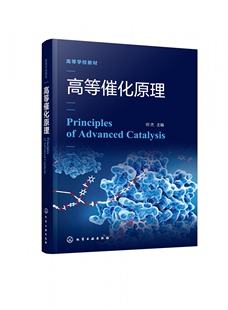 高等催化原理 何杰 催化化学 多相催化 分子筛催化剂 金属催化剂及其相关催化过程 能源催化转化高校化学化工相关专业参考教材