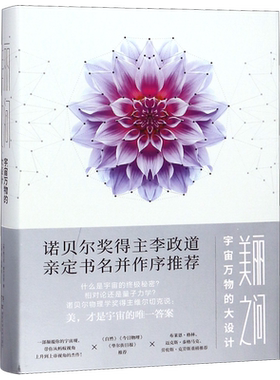 美丽之问：宇宙万物的大设计