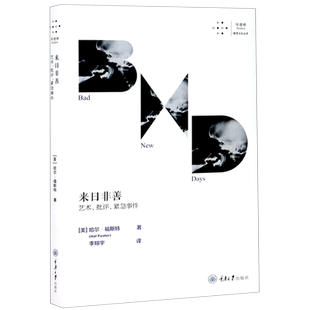 来日非善(艺术批评紧急事件)/拜德雅视觉文化丛书