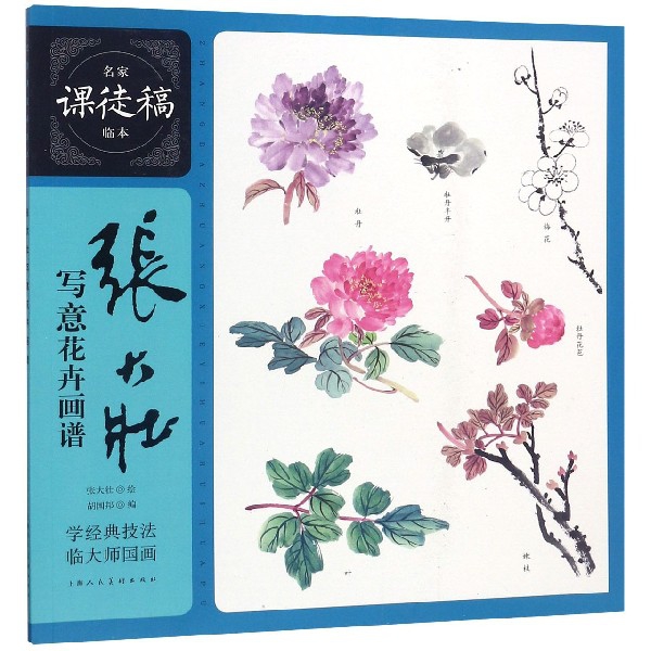 张大壮写意花卉画谱/名家课徒稿临本 博库网