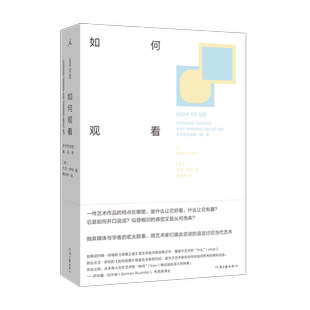 如何观看 关于艺术的看说思 大卫·萨利 著 艺术理论 艺术研究现代艺术爱好者进阶书籍 理想国