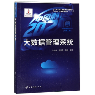 大数据管理系统 江大伟 高云君 陈刚 大数据建模技术存储和索引技术查询处理技术应用开发人员管理系统管理技术研究人员