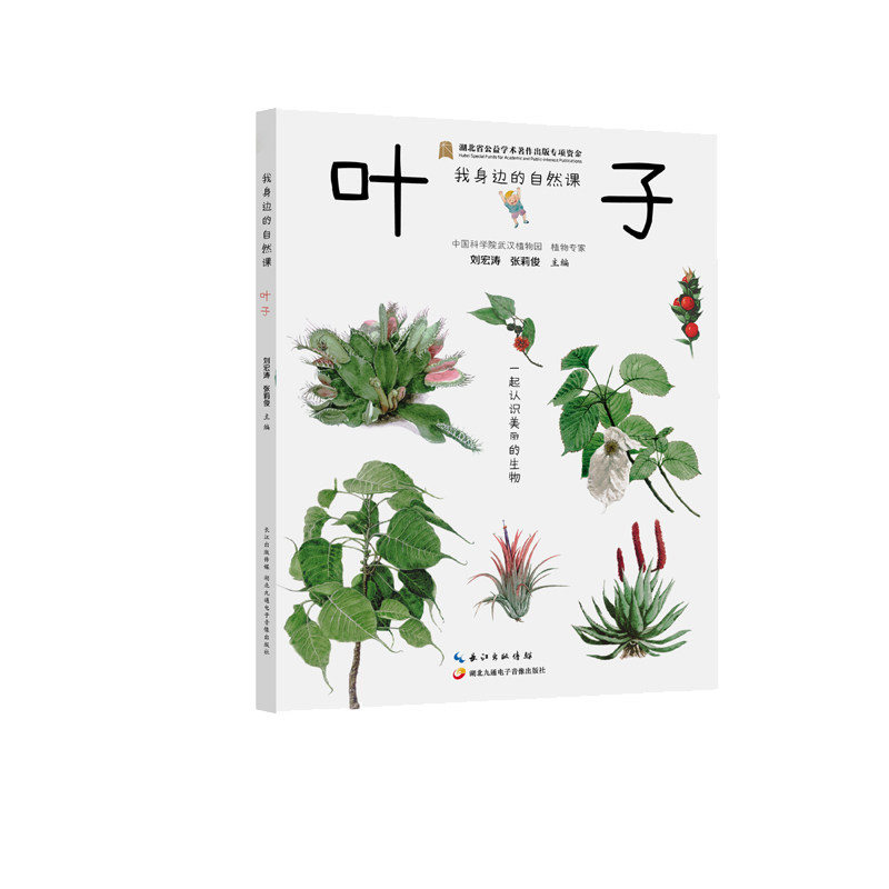 我身边的自然课·叶子 我身边的自然科普图画书 3-6-9岁儿童认知自然科普绘本故事书 幼儿园书籍小学生课外阅读书博库网,书籍/杂志/报纸,其它儿童读物,淘宝优惠券,粉丝福利购,淘宝优惠卷