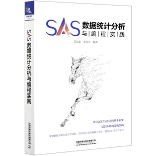 SAS数据统计分析与编程实践 SAS编程统计分析的专用语言 SAS语法基本框架 知识体系 中国铁道出版社有限公司 新华书店正版书籍