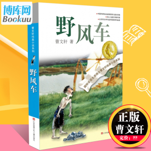 15岁三四五六年级读物正版 老师 畅销书排行榜 野风车曹文轩纯美小说系列全套青少年小学生课外阅读书籍8