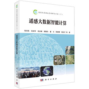 遥感大数据智能计算/遥感大数据地学理解与计算 博库网