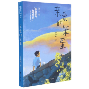 【新华书店正版】亲爱的笨蛋/新时代新成长原创儿童文学书系读物 徐海蛟著 在爱中逐步成长在误解和偏见中得到抚慰的故事