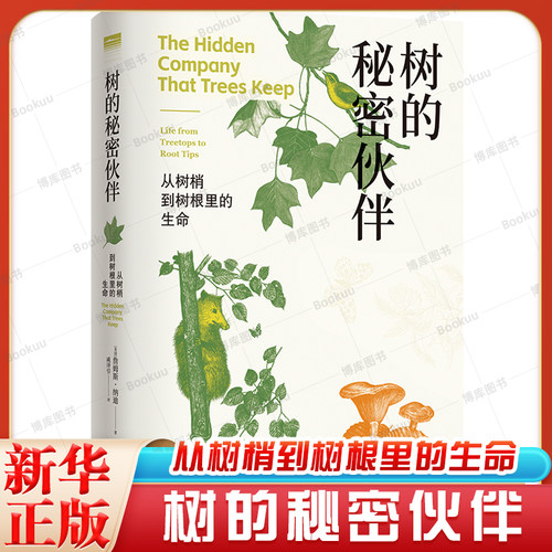 树的秘密伙伴：从树梢到树根里的生命（天际线&丛书）360余幅精美插图全景呈现树木的朋友圈科普作家严莹倾情推荐