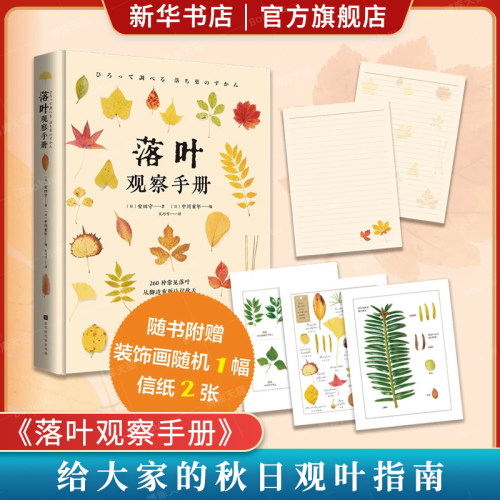 落叶观察手册秋目观叶指南