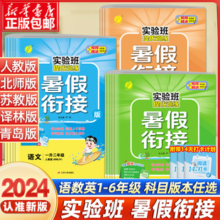 2024实验班暑假衔接提优训练语文数学英语人教版 江苏教北师译林版 一升二升三升四五六年级小学生123456教材同步练习册题暑假作业本