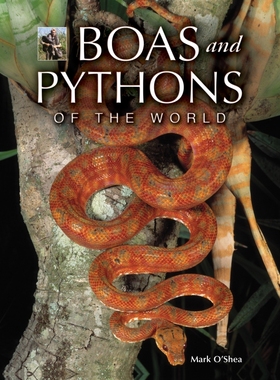 Boas and Pythons of the World 博库网