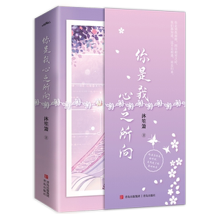 【赠海报+明信片+书签】你是我心之所向 沐笙箫经典之作 一个救赎与被救赎 爱与被爱的故事 都市言情小说书籍 新华正版